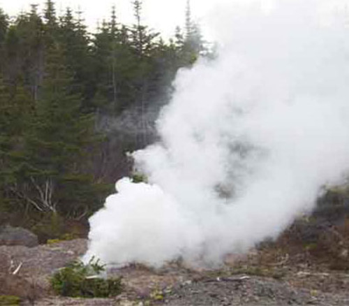 Product picture Wilderness Surviving Preppers Book