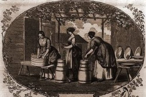 Product picture Your Ultimate Cyclopedia of Almost Everything Book